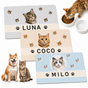 Custom Pet Photo Feeding Mat with Name product image 1